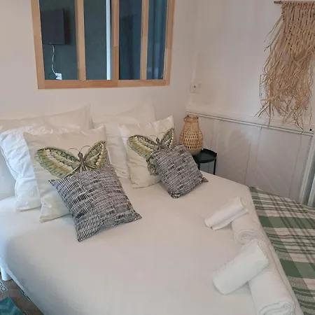 ღ Pirates Des Caraibes - Parking, Terrasse, Wifi