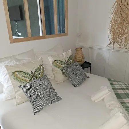ღ Pirates Des Caraibes - Parking, Terrasse, Wifi